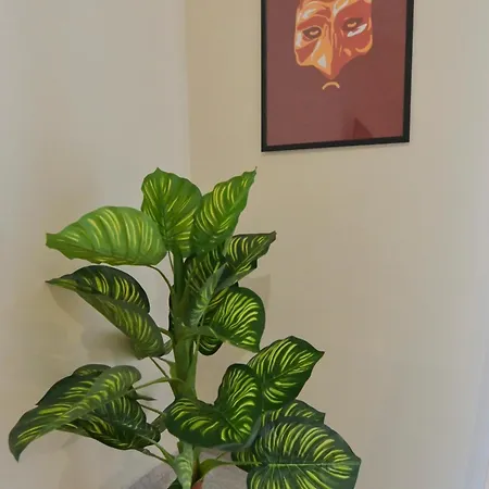 Apartman Cozy Nápoly